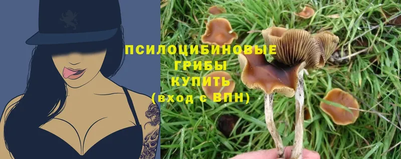 Псилоцибиновые грибы Psilocybe  MEGA маркетплейс  Артёмовск 